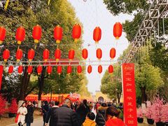 -重元寺香积厨素斋馆