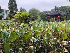 -丝绸小镇荻港古村