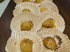 -黑松白鹿(崇文门新活馆店)