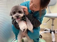 -美迦爱-牙专科·兔科·骨科诊疗中心(北苑店)
