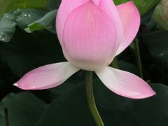 景点-宝墨园景区