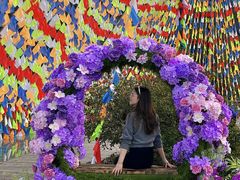 -龙湾潭国家森林公园