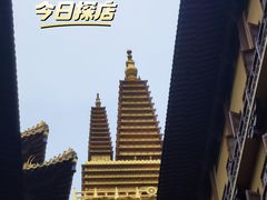 -隐溪茶馆(静安寺店)