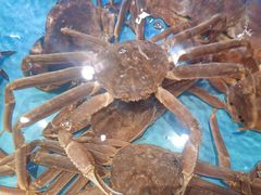-阿伟海鲜楼·福建菜(延寿店)
