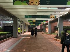 -香港大学