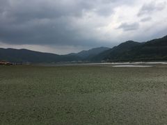 -腾冲北海湿地