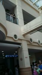 -上海交通大学医学院附属上海儿童医学中心(陆家嘴总院区)