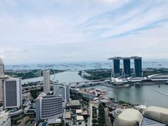 -新加坡瑞士史丹福酒店