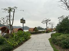 -顺峰山公园