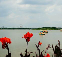 android_upload_pic-云湖游乐园