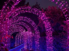 -福建鲤鱼洲酒店