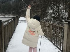 -武陵山森林公园