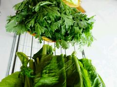 -蘑统田下·野生菌火锅