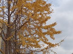 -西南民族大学南区(双流校区)