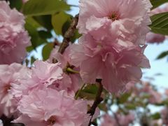 -上海市松江区泗泾医院