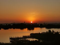 -芒洲湿地公园