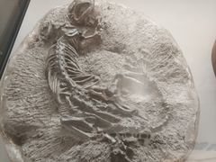 -辽宁古生物博物馆