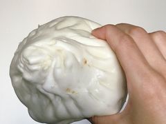 大肉包-白玉兰食品(甜云店)