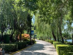 -西安汉城湖景区