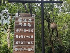 -呀诺达热带雨林