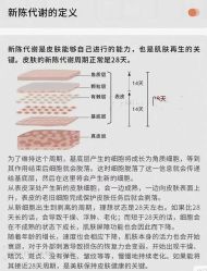 点击看大图 -玛莲朵·海菲秀冰珀科