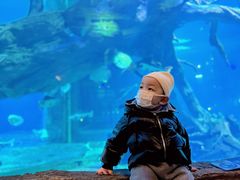 -华夏文旅海洋公园