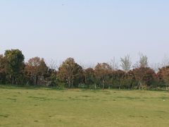-嬉乐湾休闲旅游区