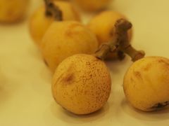 -塘栖枇杷特色园区