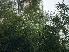 -北坞公园