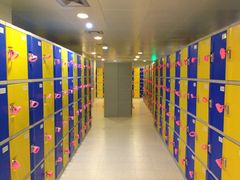 -重庆市奥林匹克体育中心-游泳跳水馆