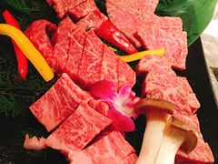 -神户牛焼肉専門店 牛一(道顿堀店)