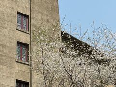-武汉大学-樱园