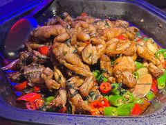 -蛙来哒(汇一城黑金冠店)