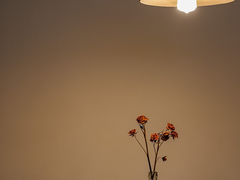 -Café Monson