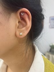 -AI艾耳·专业手工耳洞·穿孔美学馆