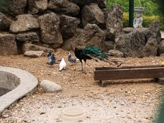 -清风小镇闯关东影视基地