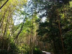 -泰宁旅游风景名胜区