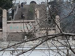 -苏州上方山国家森林公园
