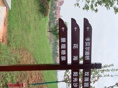 -九龙湖公园