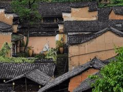 -杨家堂村