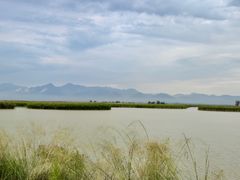 -哈素海