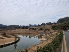 -福建土楼（华安）旅游区•大地土楼群