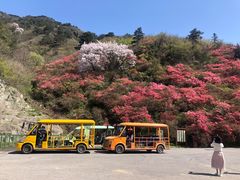 -木兰云雾山