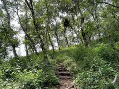 -灵山