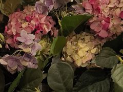 -八府香鸭·啫啫煲(华山路店)