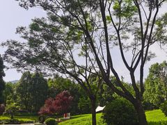 -樱桃山旅游景区