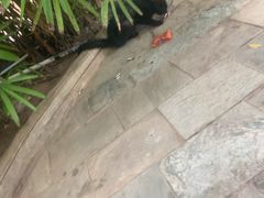 -龙达温泉生态城