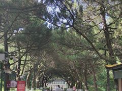 -南岳衡山风景名胜区-南岳大庙