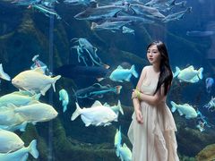 -哈尔滨波塞冬海底世界