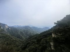 -大岭沟猕猴桃谷风景区